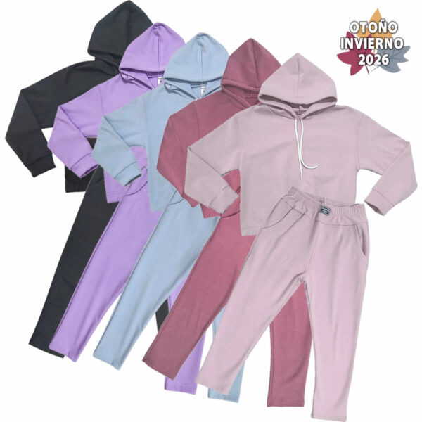 Art 2612 / Conjunto Buzo Capucha y Pantalon Darlom Talle 4 al 16