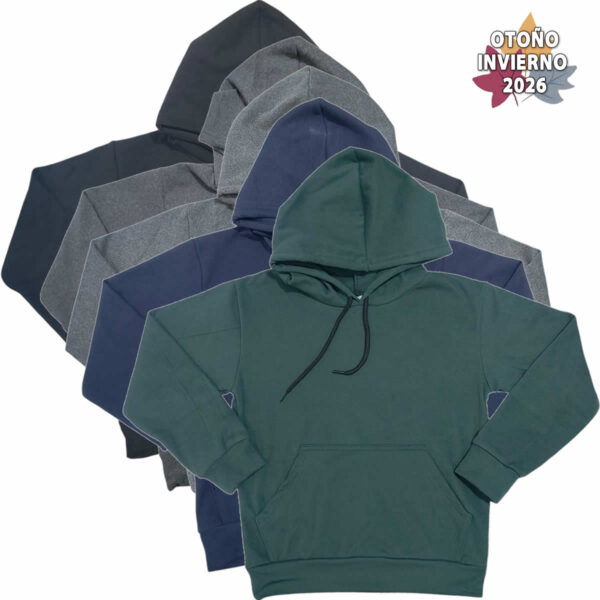 Art 2720 / Buzo Capucha Darlom - Talle 6 al 16