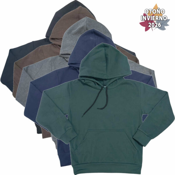 Art 2720 / Buzo Capucha Darlom - Talle 6 al 16
